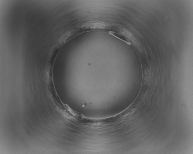 X0000075900309200609291739