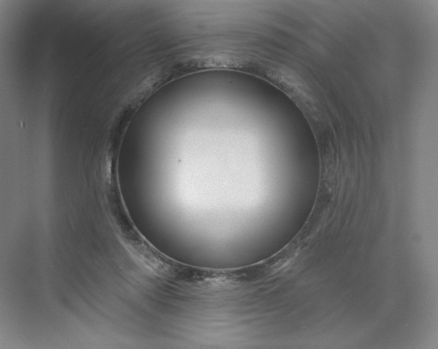 X0000075900310200609291739