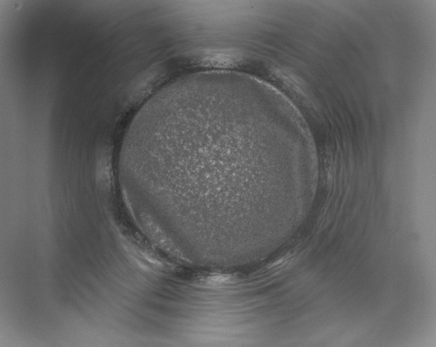 X0000075900312200609291739