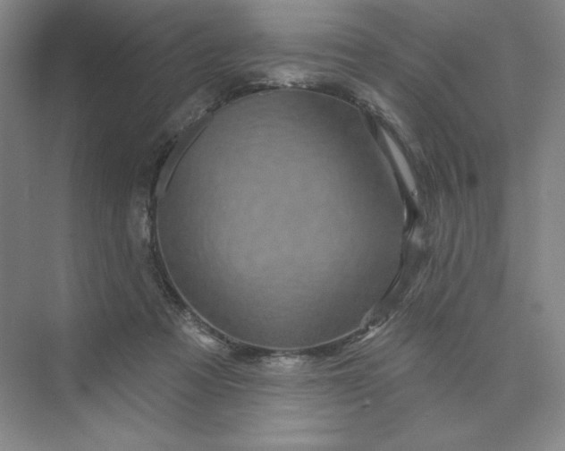 X0000075900313200609291739