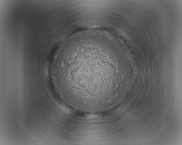 X0000075900315200609291739