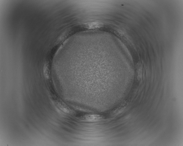 X0000075900316200609291739