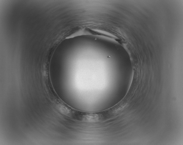 X0000075900317200609291738