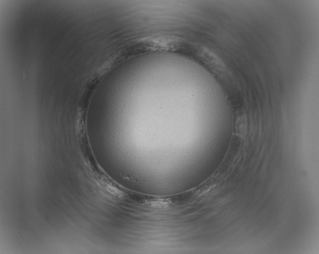 X0000075900318200609291738