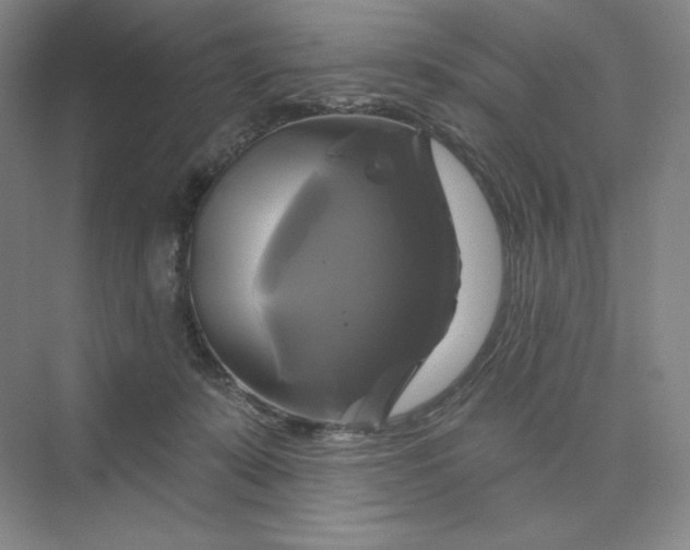 X0000075900319200609291738