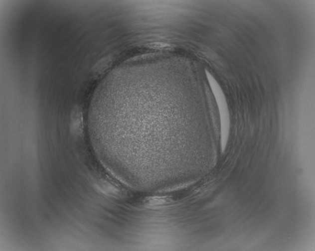 X0000075900320200609291738