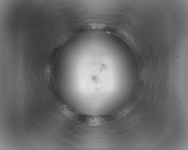 X0000075900321200609291738