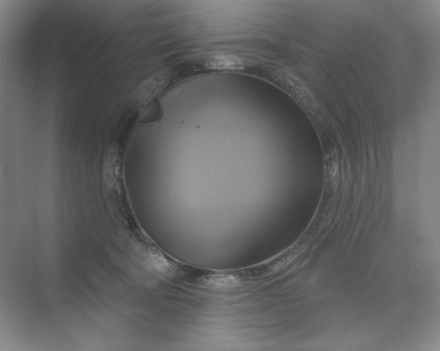 X0000075900322200609291738