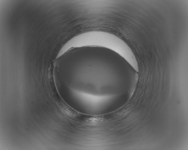 X0000075900323200609291738