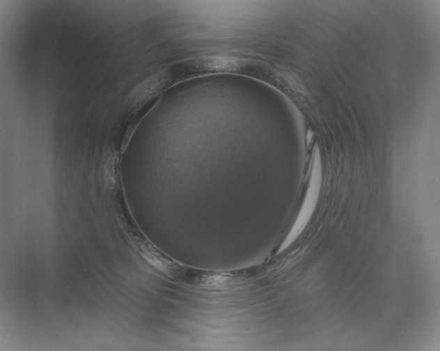 X0000075900325200609291738