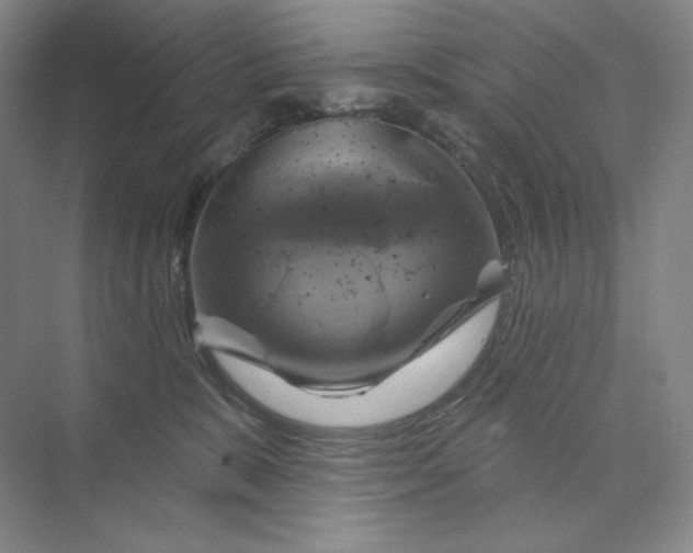 X0000075900327200609291738