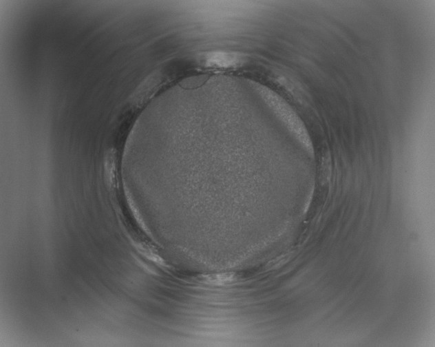 X0000075900328200609291738