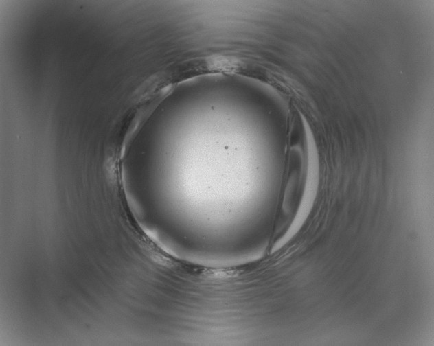 X0000075900329200609291738