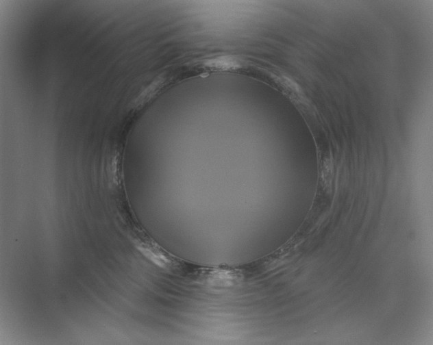 X0000075900330200609291738