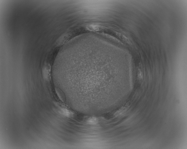 X0000075900332200609291738