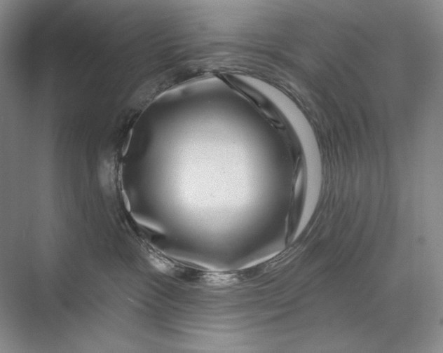 X0000075900333200609291738