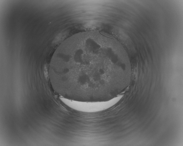 X0000075900335200609291738