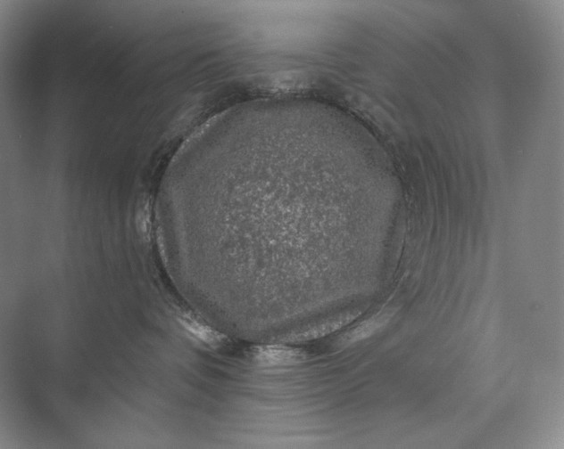 X0000075900336200609291738