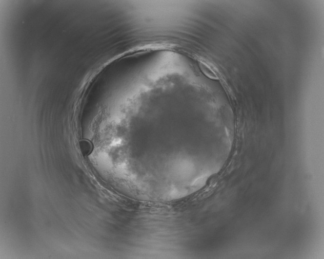 X0000075900337200609291737