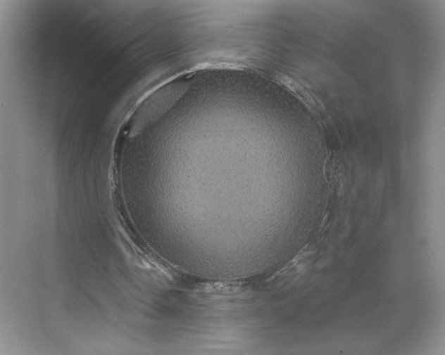 X0000075900338200609291737