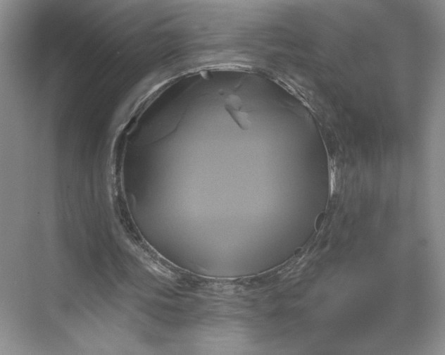 X0000075900339200609291737