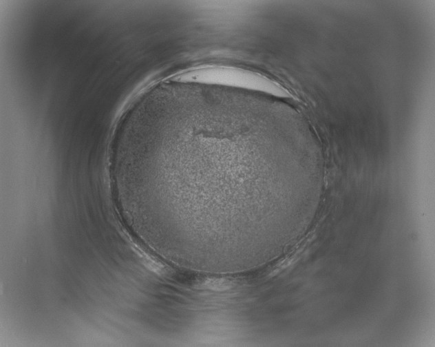 X0000075900341200609291737