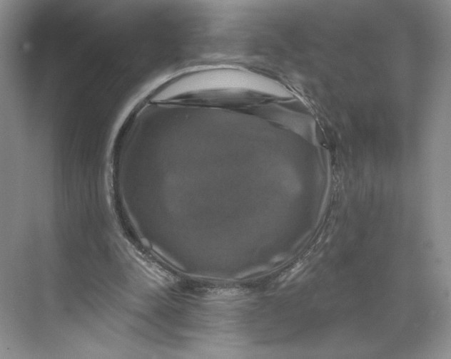 X0000075900342200609291737