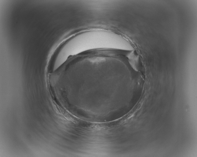 X0000075900343200609291737