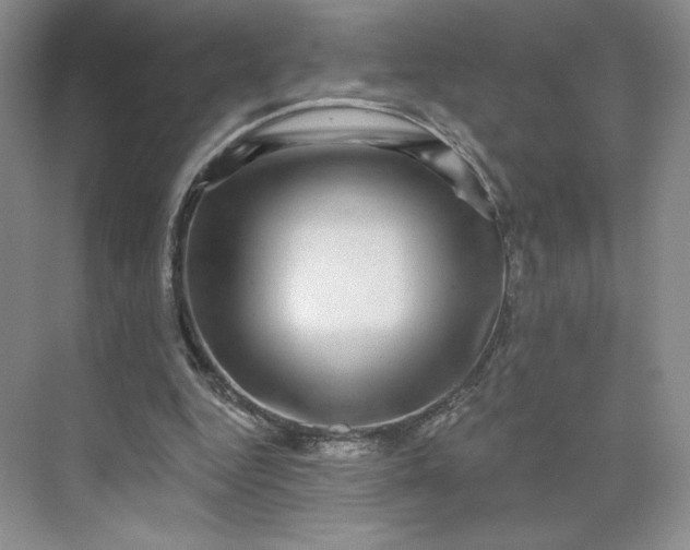 X0000075900344200609291737