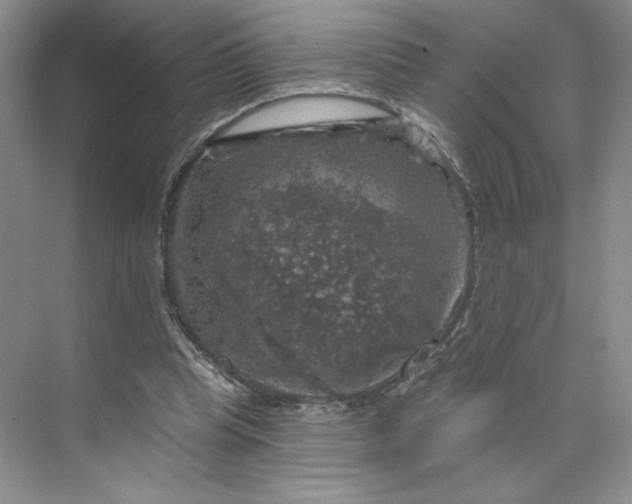 X0000075900345200609291737