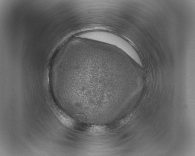 X0000075900350200609291738