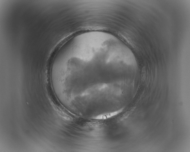 X0000075900351200609291738