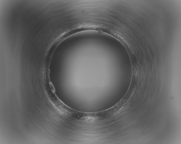 X0000075900352200609291738