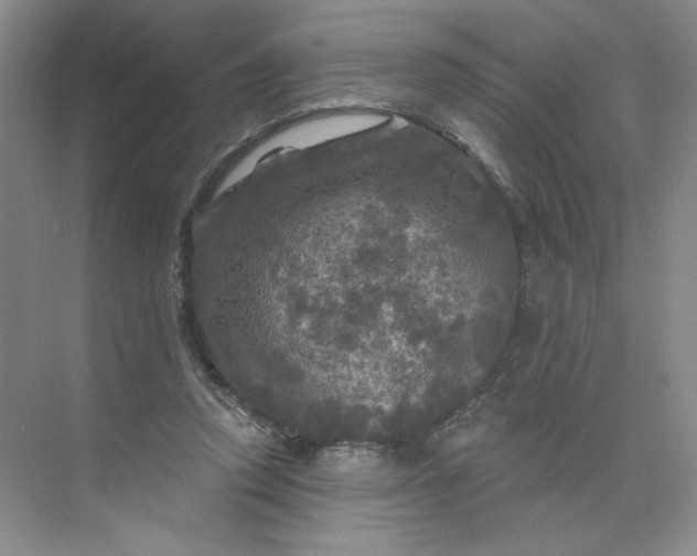 X0000075900354200609291738