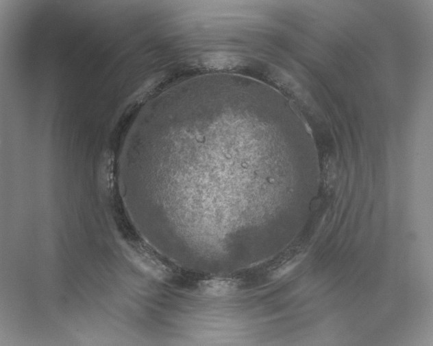 X0000075900356200609291738