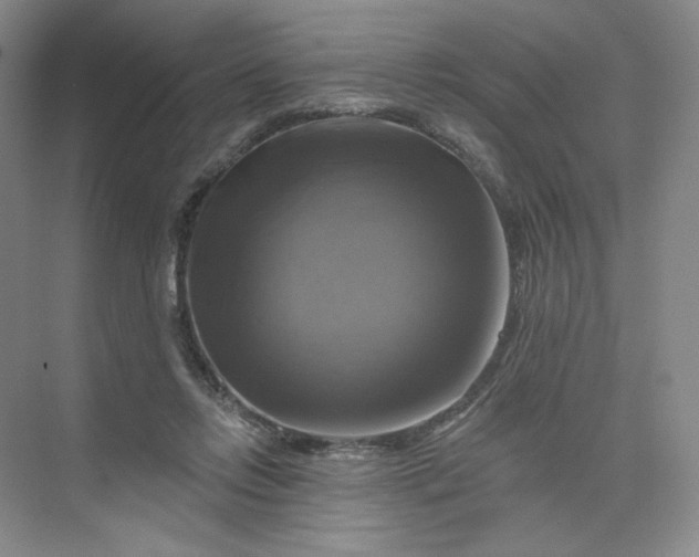 X0000075900358200609291738