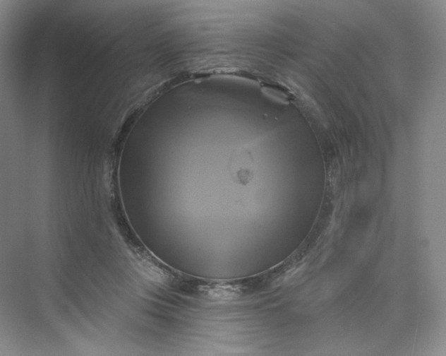 X0000075900359200609291738