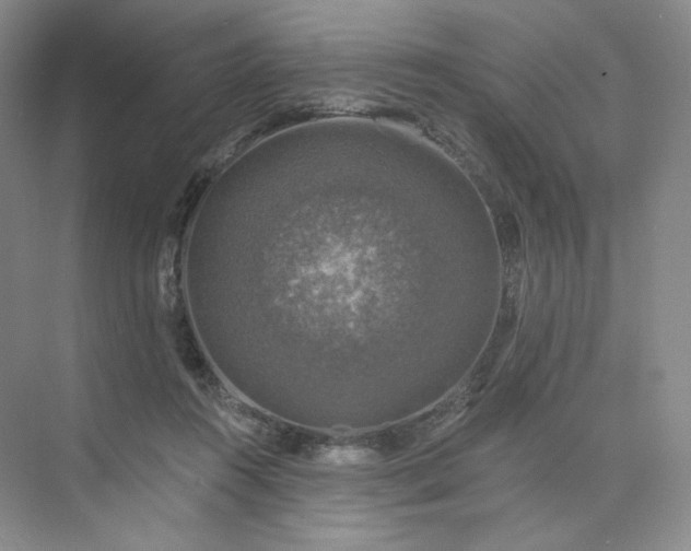 X0000075900360200609291738