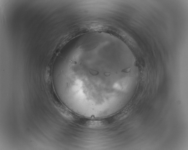 X0000075900361200609291738