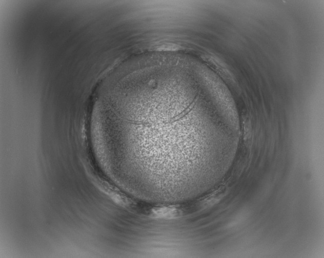 X0000075900362200609291738