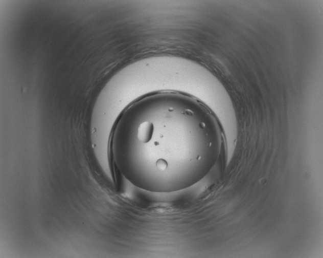 X0000075900364200609291738