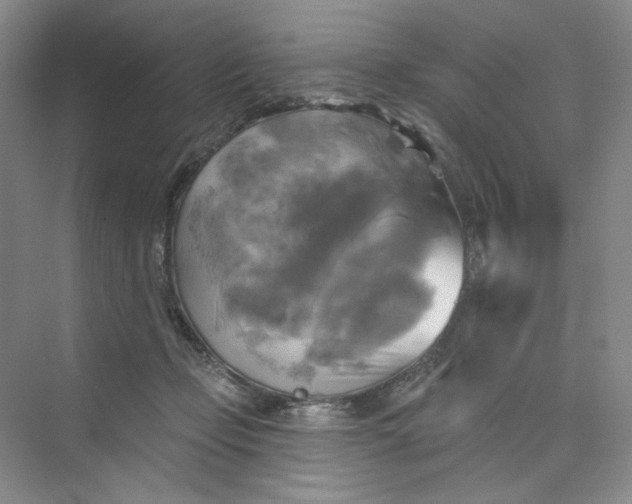 X0000075900365200609291738