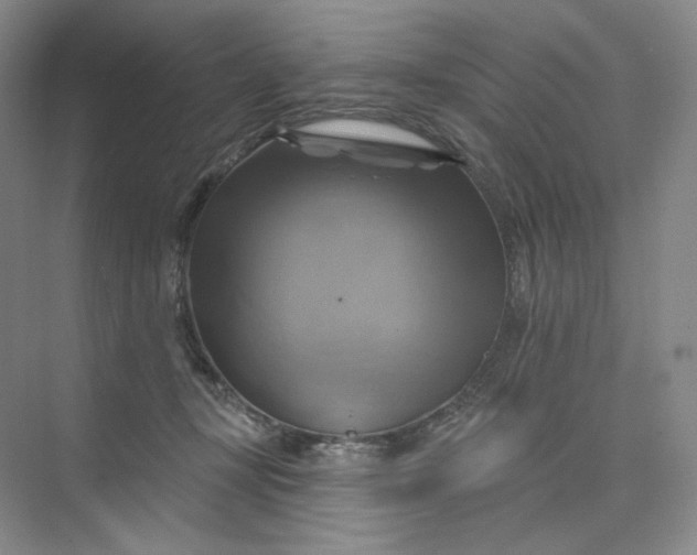 X0000075900367200609291738