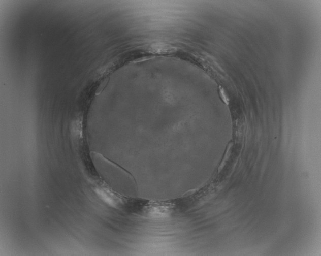 X0000075900368200609291738