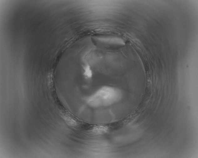 X0000075900369200609291738