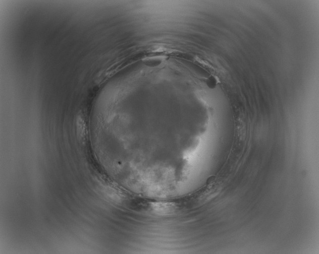 X0000075900371200609291738