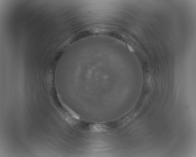 X0000075900372200609291738