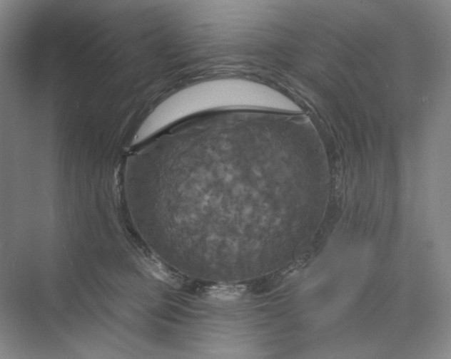 X0000075900373200609291738