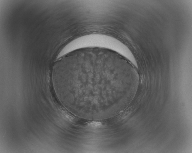 X0000075900374200609291738