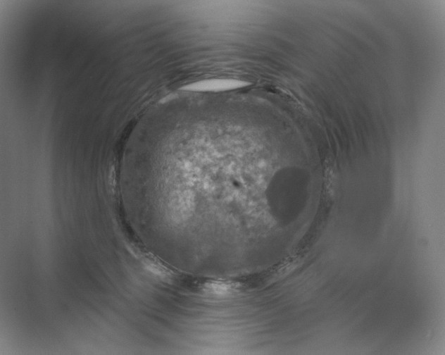 X0000075900375200609291738